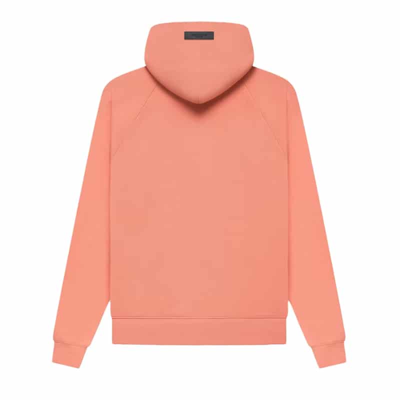 Essentials Pullover Hoodie FW22 Coral Back