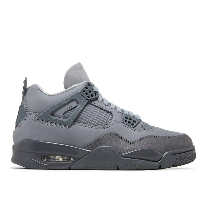 Jordan Retro 4 SE "Paris Olympics"