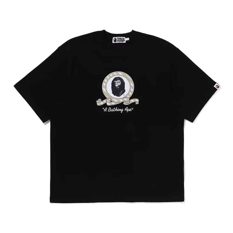 Bape Graphic Relaxed Fit Tee - 210000088454 Hidden Hype Clothing