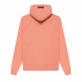 Essentials Pullover Hoodie FW22 - 210000075476 Hidden Hype Clothing