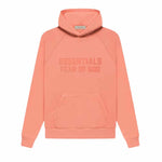 Essentials Pullover Hoodie FW22 - 210000075476 Hidden Hype Clothing