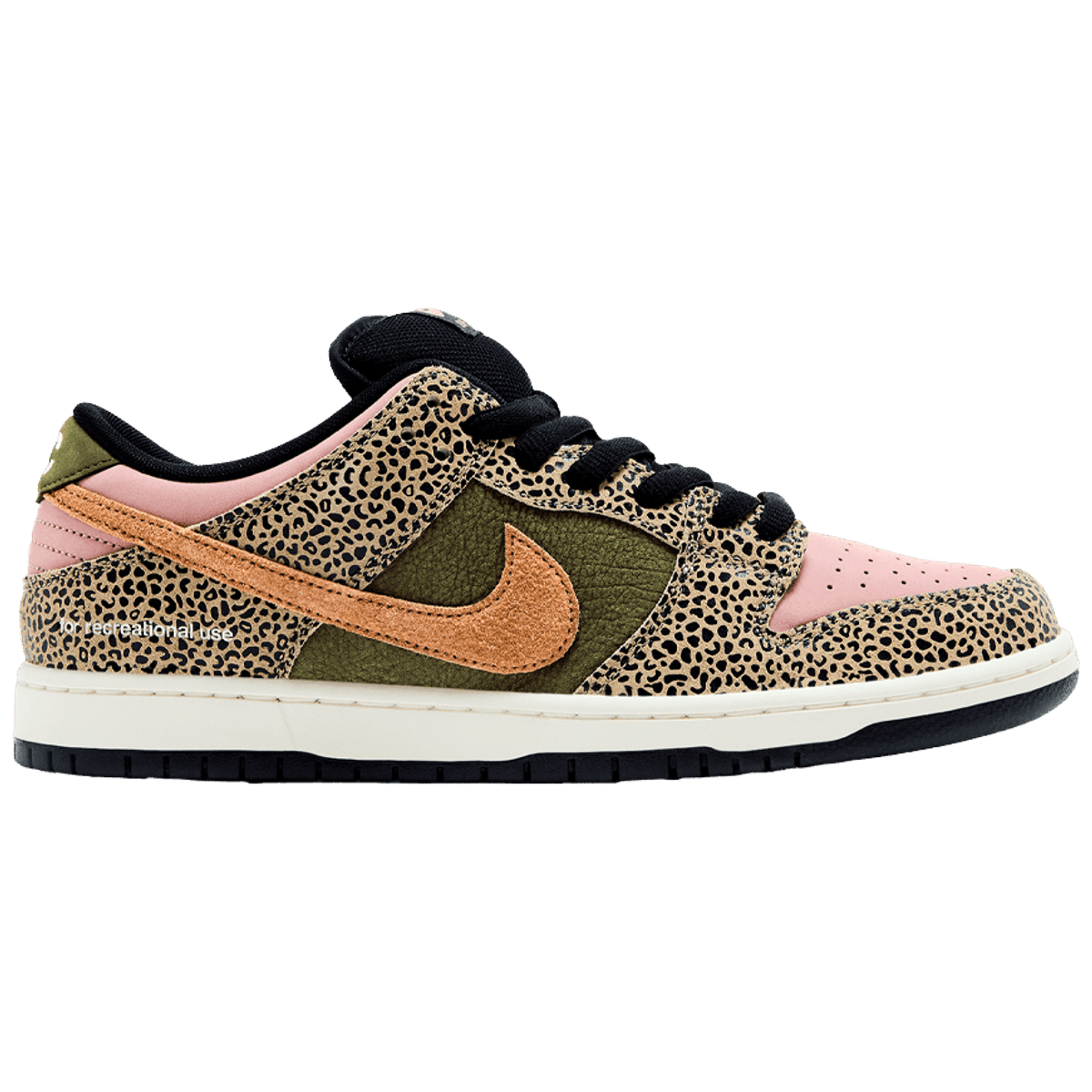 Nike Dunk Low SB "Arts & Rec" - 210000097594 Hidden Hype Clothing