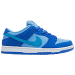 Nike Dunk low SB "Blue Raspberry" - 210000091102 Hidden Hype Clothing