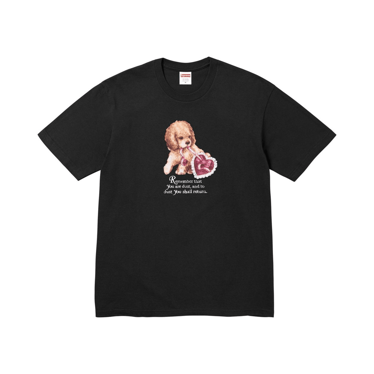 Supreme Dust Tee - 210000100135 Hidden Hype Clothing