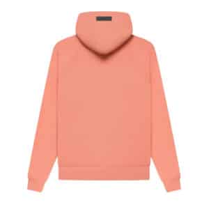 Essentials Pullover Hoodie FW22 Coral Back